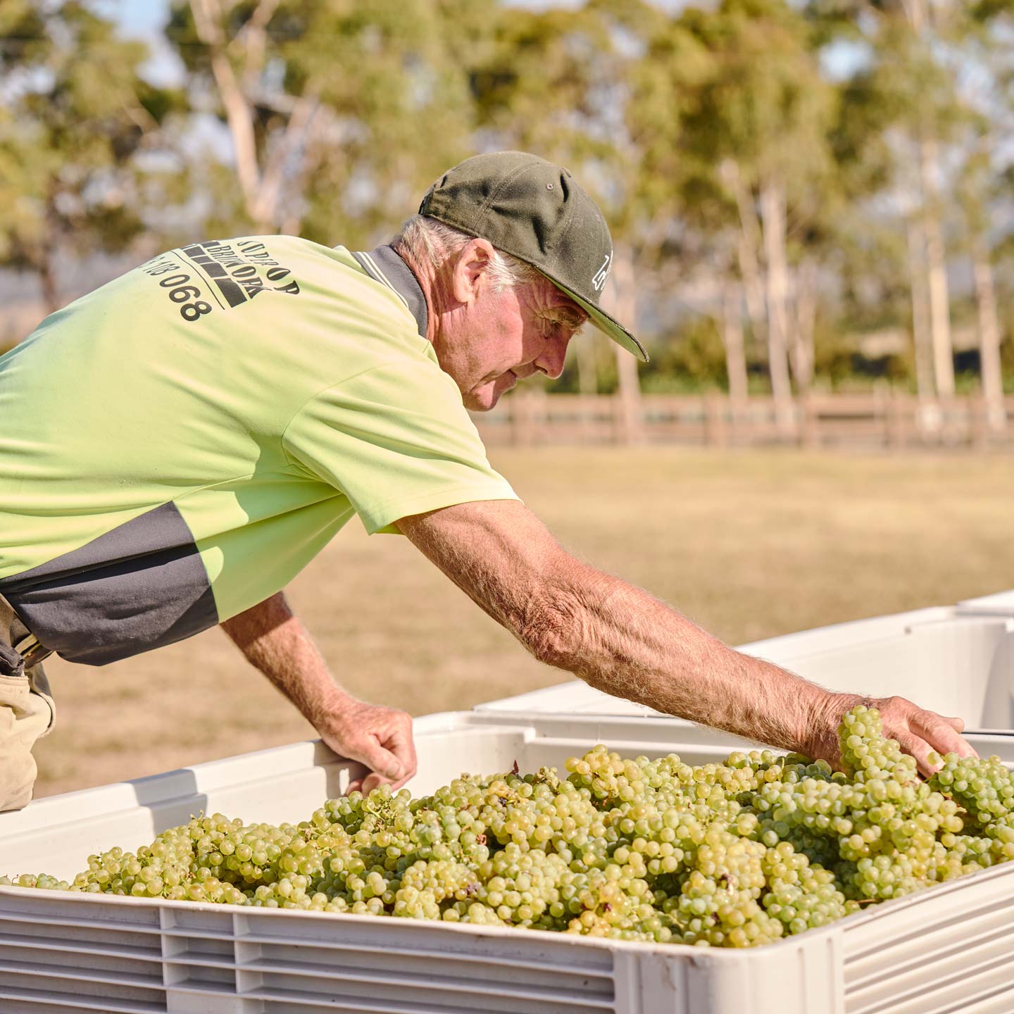 Zonzo Team Farm Vintage Sid