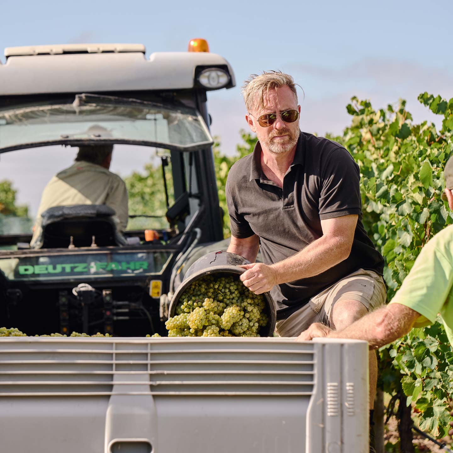 Zonzo Team Vineyard Phil