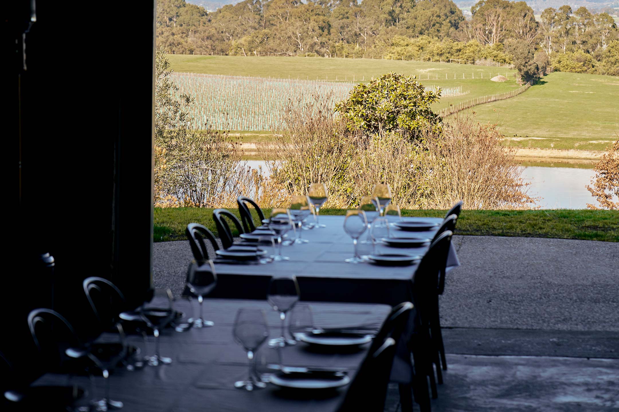 Zonzo Estate Spaces Barrel Room