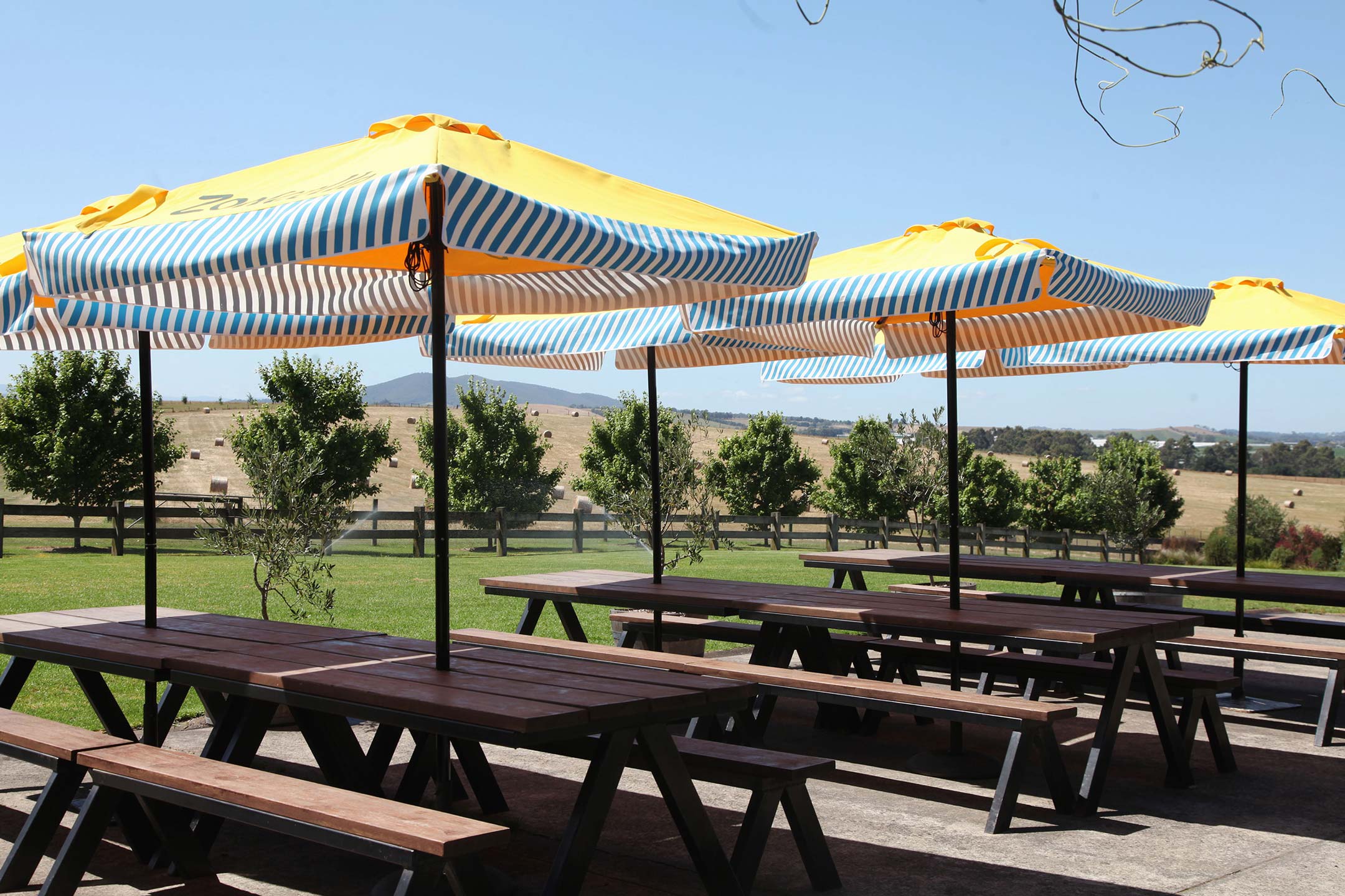 Zonzo Estate Spaces Outside