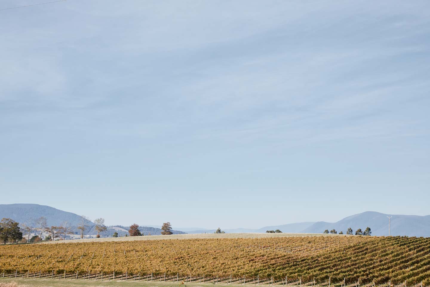 Zonzo Estate Views Wide